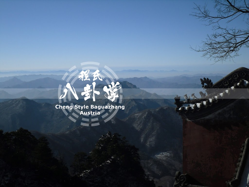 Cheng Style BaguaZhang Austria