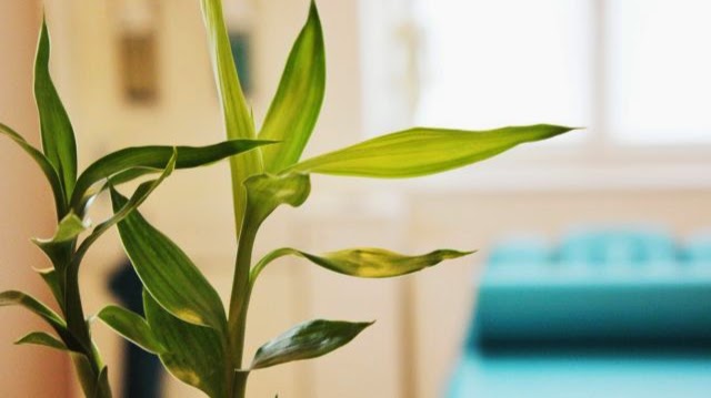 VIA Therapiezentrum Baden VIA Therapiezentrum Baden
